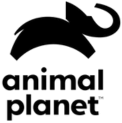 Camada-15.png